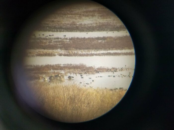 20 иллюзорных снимков, которые вводят в заблуждение