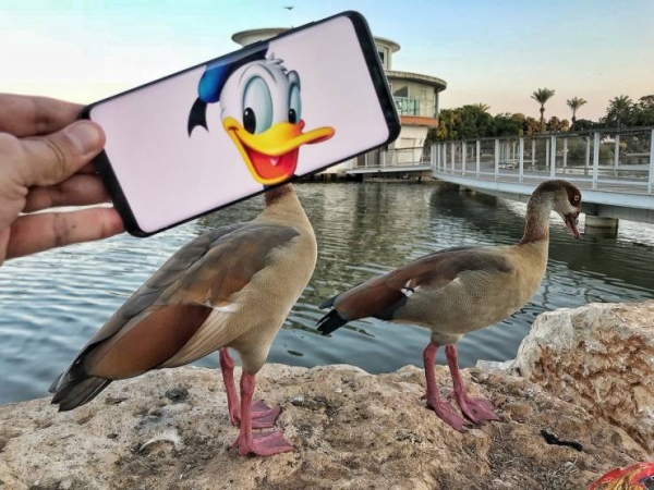 20 снимков израильского фотографа Яхавы Драйзина, в которых он использовал смартфон и воображение