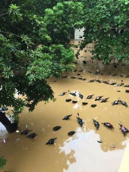 20 иллюзорных снимков, которые вводят в заблуждение
