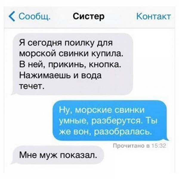 14 убойных сообщений, которые могли отправить друг другу только родственники