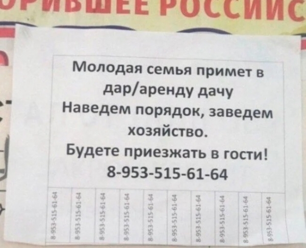 16 объявлений, составители которых имеют нестандартное мышление либо особое чувство юмора