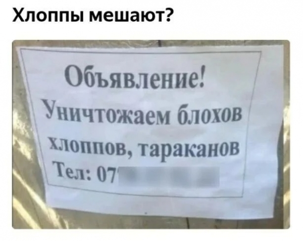 16 объявлений, составители которых имеют нестандартное мышление либо особое чувство юмора
