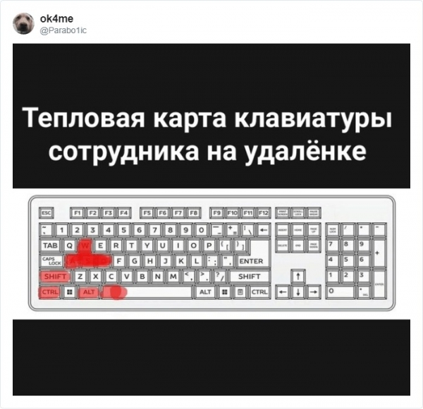 13 приколов про удаленку во время пандемии — кому-то и вовсе не страшна самоизоляция, а кто-то страдает на карантине