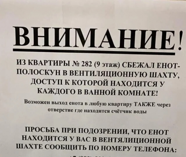 16 объявлений, составители которых имеют нестандартное мышление либо особое чувство юмора