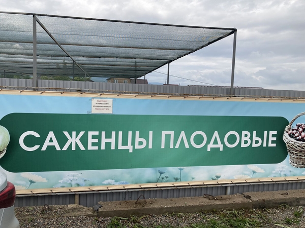 19 проявлений истинной заботы производителей о своих клиентах — оригинальные решения в сервисе, которые оценит каждый