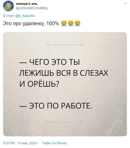 13 приколов про удаленку во время пандемии — кому-то и вовсе не страшна самоизоляция, а кто-то страдает на карантине