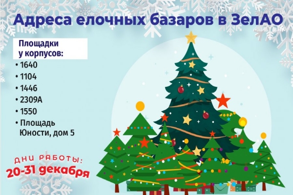 В Зеленограде оборудуют елочные базары
