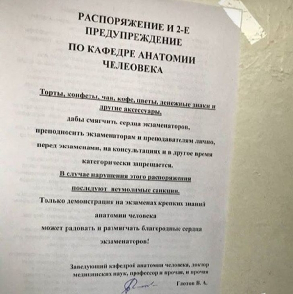 19 снимков времен студенчества, на которые уже взрослые люди смотрят с теплотой и улыбкой