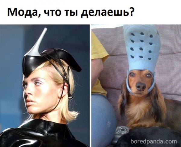 26 фото о том, почему с миром моды определенно что-то случилось