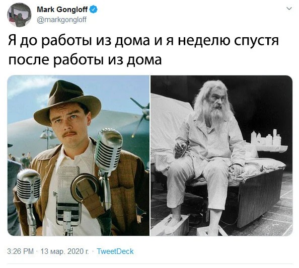 13 приколов про удаленку во время пандемии — кому-то и вовсе не страшна самоизоляция, а кто-то страдает на карантине