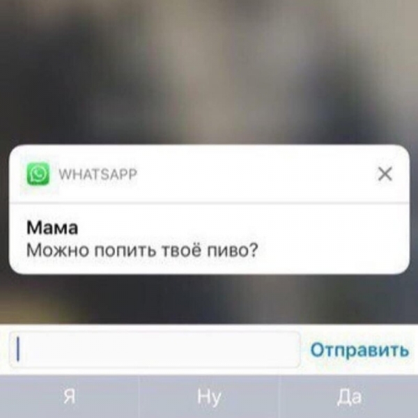 14 убойных сообщений, которые могли отправить друг другу только родственники