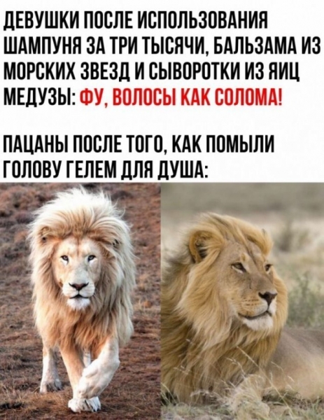 Женские особенности, о которых мужчины узнают только после начала совместного проживания