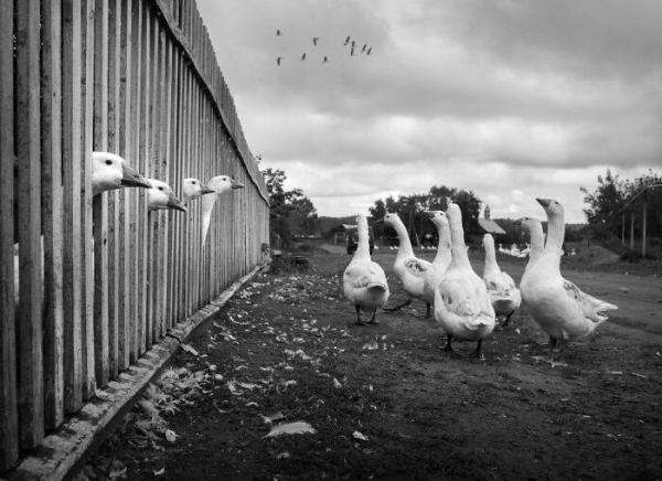 Фотограф из Челябинска показывает повседневность России с честной и неожиданной стороны