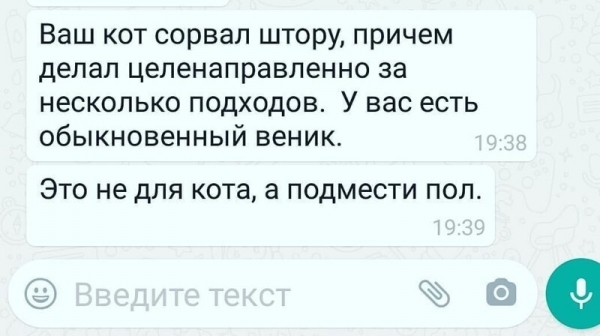 14 убойных сообщений, которые могли отправить друг другу только родственники