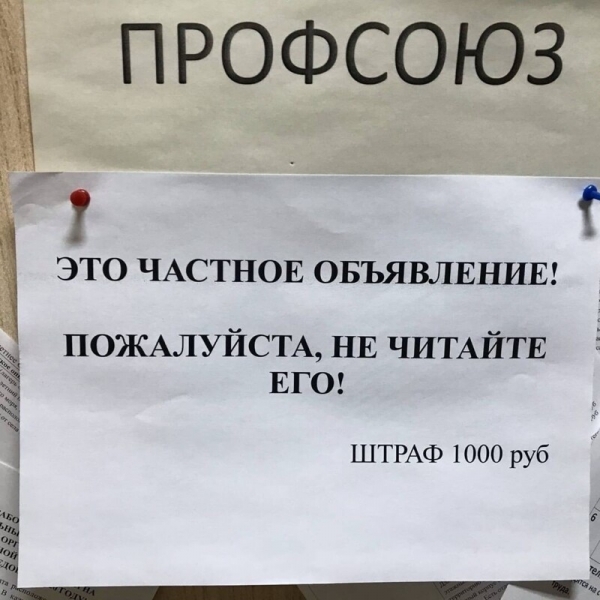 15 забавных объявлений, придуманных в России