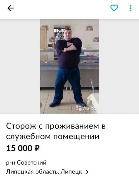 Лучшие резюме с Авито, или почему некоторые люди никак не могут найти работу