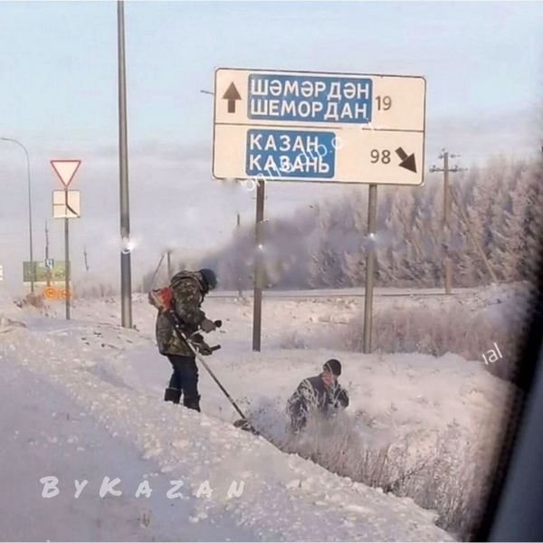 20 эпизодов зимней сказки, которая настигла людей в разных уголках мира