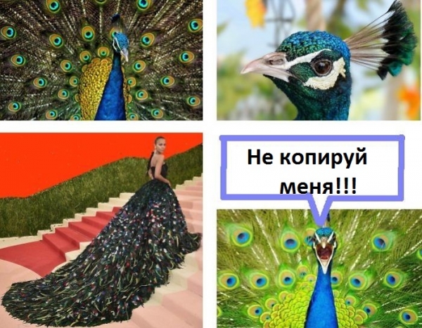26 фото о том, почему с миром моды определенно что-то случилось