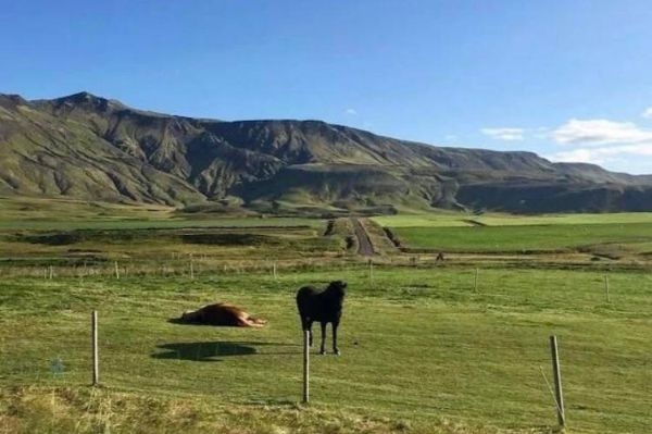 17 фото, на которых происходит нечто странное