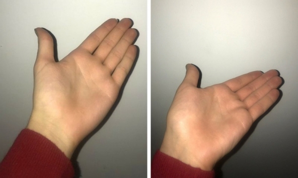 23 фотографии, которые хотят испытать ваши терпение и нервишки на прочность
