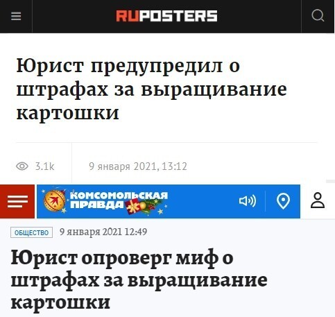 16 сумасшедших событий, о которых писали СМИ в январские праздники 2021 года