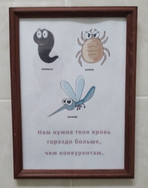 20 показательных и безукоризненных творений маркетологов, которые создали рекламу на совесть
