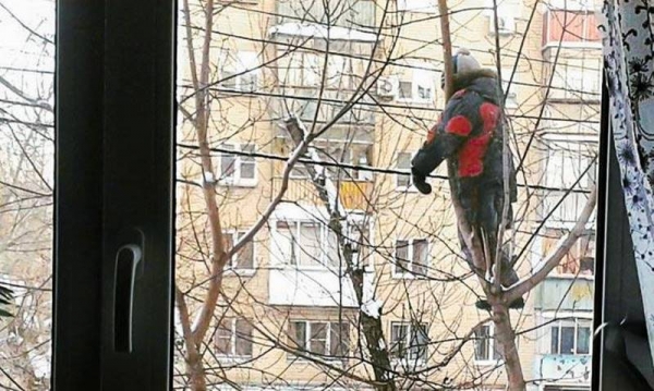 24 доказательств того, что дети это весело, но иногда они ведут себя очень странно