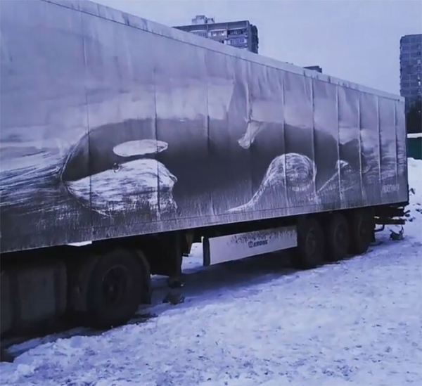 Рисунки на грязных грузовиках: 36 крутых работ Никиты Голубева