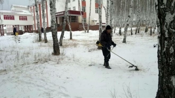 25 снимков, показывающих, что у некоторых людей отсутствует здравый смысл или особое логическое мышление