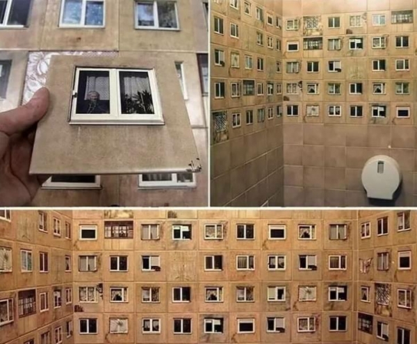25 прикольных и позитивных кадров, которые во время карантина всем поднимут настроение