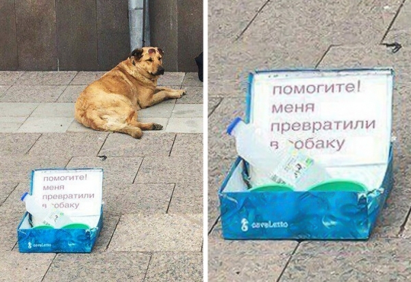17 человек с сильно развитой самоиронией, которые не стесняются посмеяться над собой