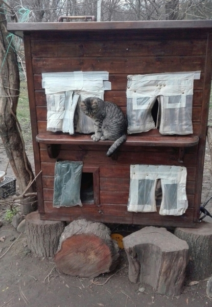 25 человек, которые без лишних слов готовы сделать благое дело