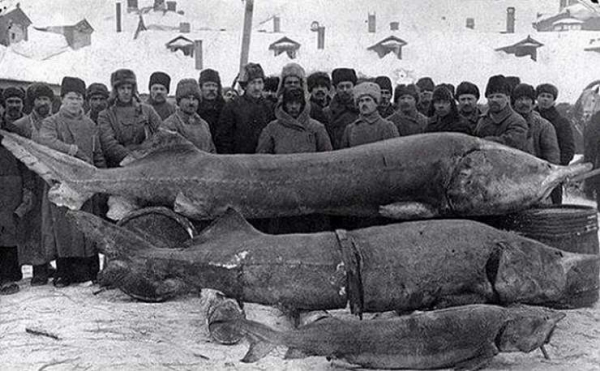 16 фотографий, способных показать историю немного под другим углом, о котором мы не подозреваем