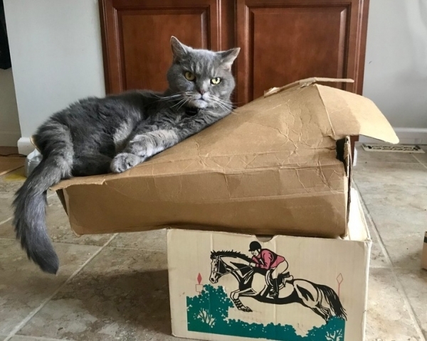 20 занимательных фото, которые на мгновение вводят в ступор