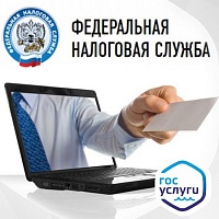 На портале госуслуг можно получить справку о доходах 2-НДФЛ в электронном виде