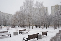 Прошедшей ночью в Зеленограде было минус 27