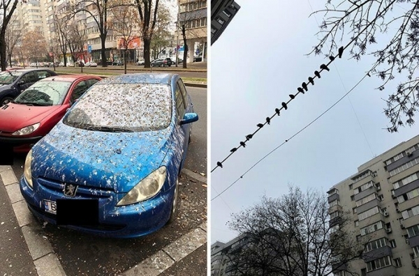 20 человек, которых настиг худший день в их жизни