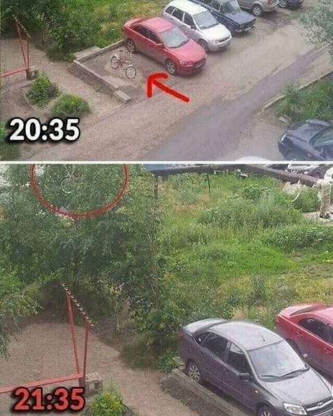 15 безумных фотографий людей, которых явно достали