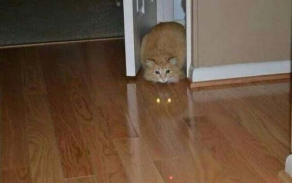 24 лукавых фотографий, которые пытаются обмануть наше зрение