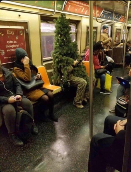 20 вещей, которые не увидишь каждый день, но это даже хорошо