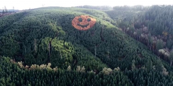 20 раз, когда люди нашли занимательные скрытые детали и «пасхалки» в обычных вещах