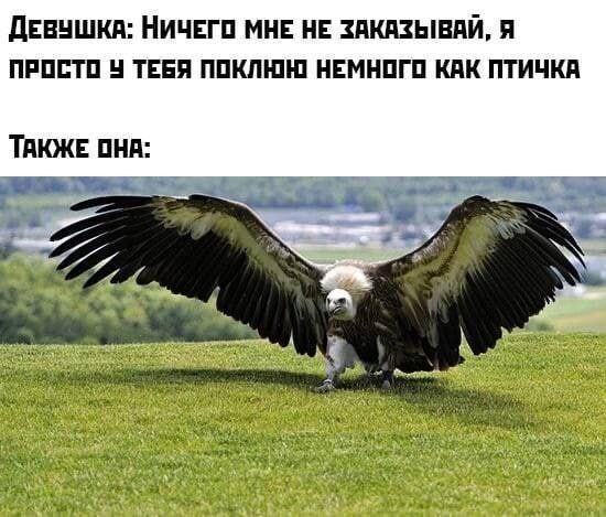 15 наглядных доказательств того, почему мужчины никогда не смогут на 100% понять женщин