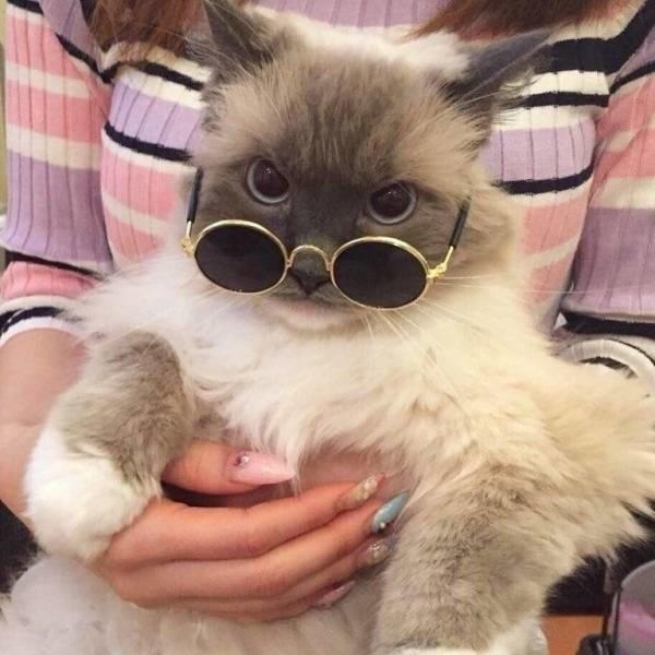 20 вещей, которые не увидишь каждый день, но это даже хорошо