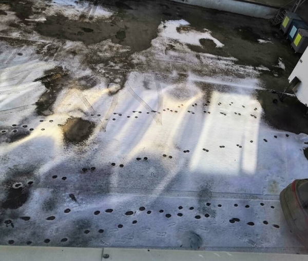 20 таинственно оставленных следов, которые заинтриговали тех, кто их увидел