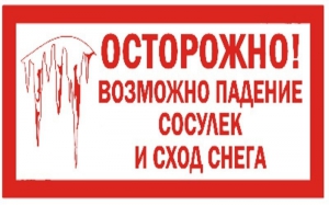 Правила поведения в условиях оттепели: зеленоградское управление столичного департамента ГОЧС и ПБ напоминает