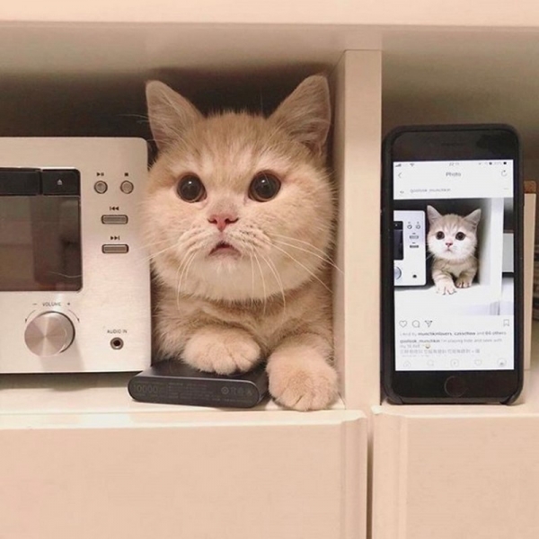 17 фотографий, которые наглядно показывают, что такое время