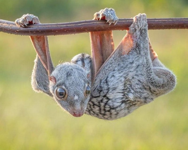 25 природных фотографий, которые заставят вас ахнуть от удивления