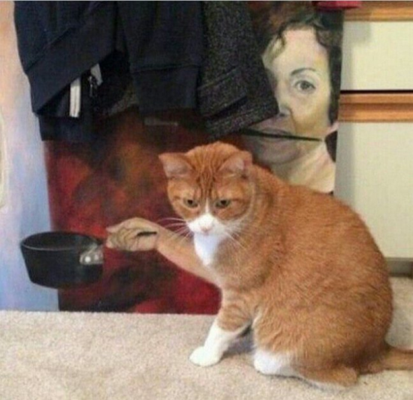 24 лукавых фотографий, которые пытаются обмануть наше зрение