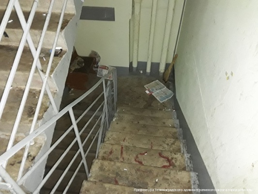 Мосжилинспекция указала управляющей организации ГБУ «Жилищник по ЗелАО» на неудовлетворительное санитарно-техническое состояние общего имущества