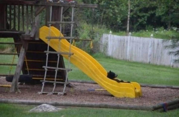 20 вещей, которые не увидишь каждый день, но это даже хорошо